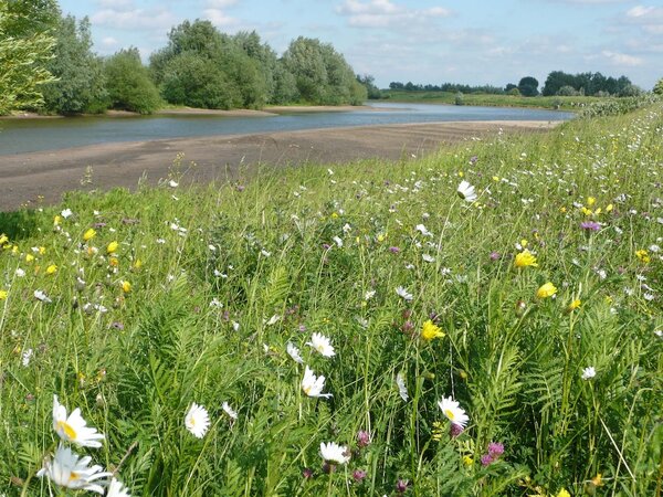 Bloemrijke dijk, met een deel droog gevallen rivier