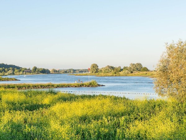 Kronkelende rivier met kribben